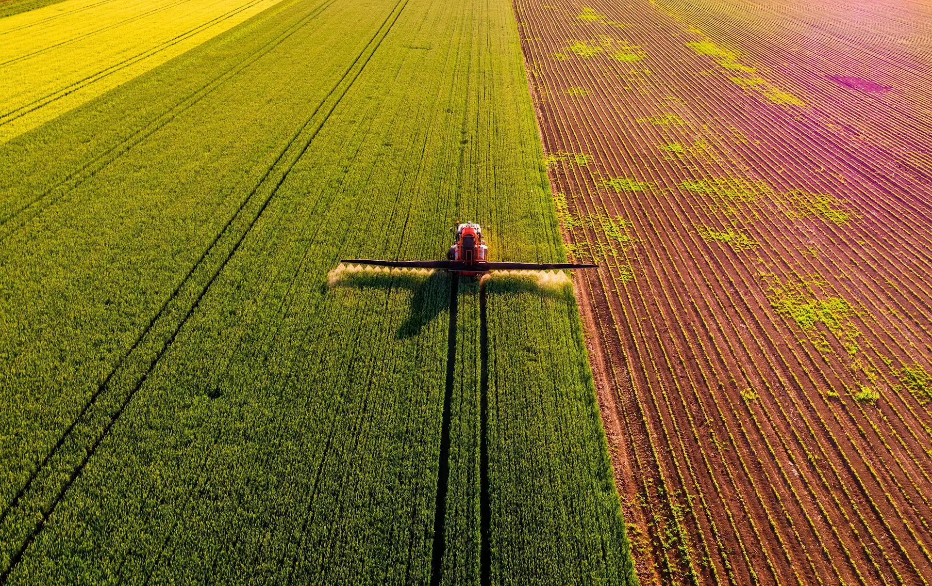 Immagine di copertina della pagina Pagina iniziale